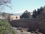 La Alhambra 8